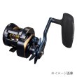 画像1: ダイワ　25ソルティガ 300L (1)