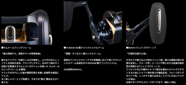 画像3: ダイワ 25ソルティガ 300 (3)