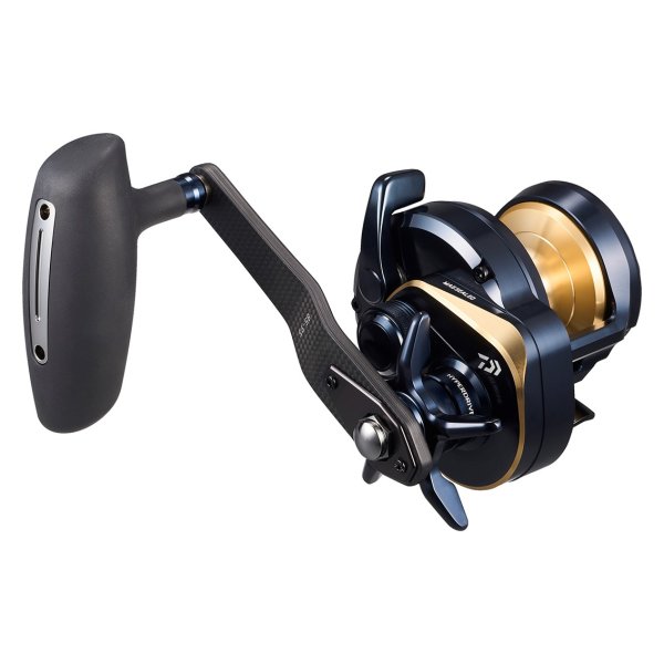 画像1: ダイワ 25 ソルティガ 10H-SJ (1)