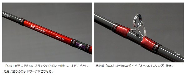 画像3: ダイワ メタリア アマダイ 205 (3)