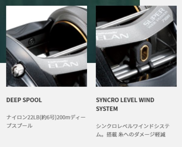 画像3: テイルウォーク エラン スーパーワイドパワー/ELAN SUPER WIDE POWER 71BL（左） (3)